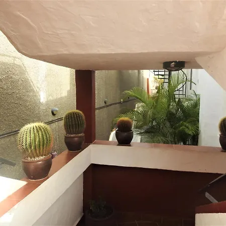 Apartment Apartamento Jardin Paraiso Playa Del Cura (Gran Canaria)